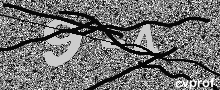 Captcha Kép