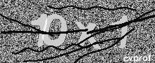 Captcha Kép