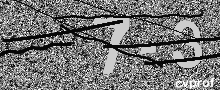 Captcha Kép