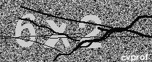 Captcha Kép