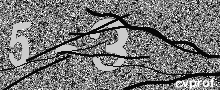 Captcha Kép